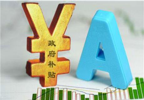 企業(yè)補(bǔ)貼項(xiàng)目