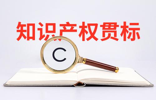 小微初創(chuàng)企業(yè)怎么申請知識產權貫標？